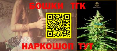 шишки Славгород