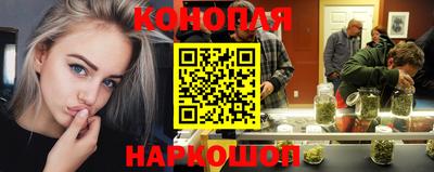 шишки Славгород
