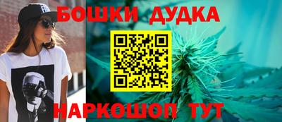 СК Сланцы