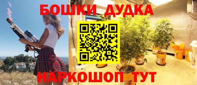 шишки Славгород