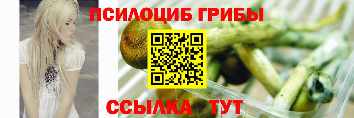 Новосибирск  наркошоп  Вход с VPN  Псилоцибиновые грибы Magic Shrooms 